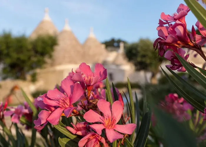 Trulli Angela * לוקורוטונדו